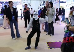 开源大模子快速拉平分歧国度企业之间的AI能力和